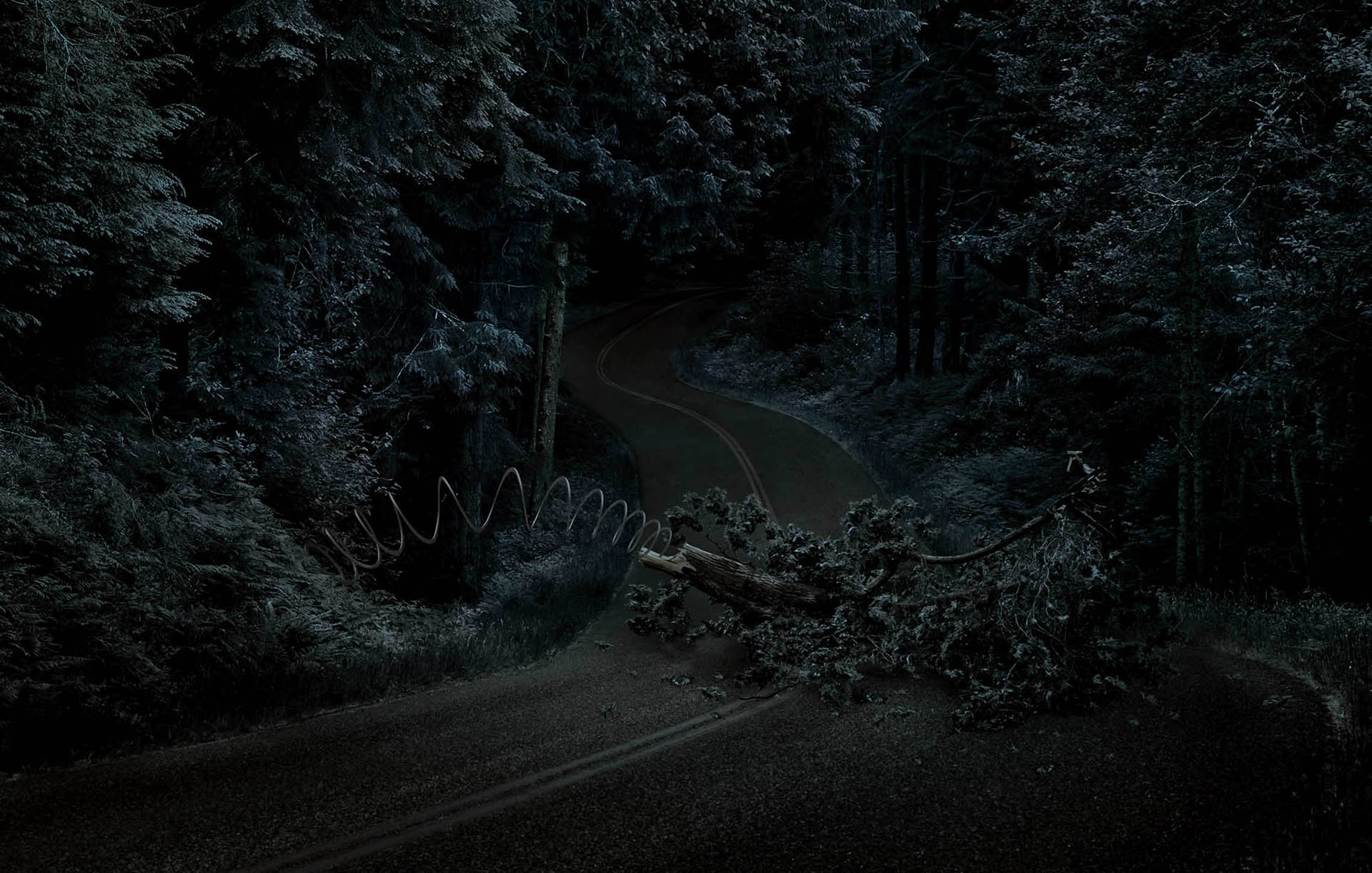 034 Mercedes-tree