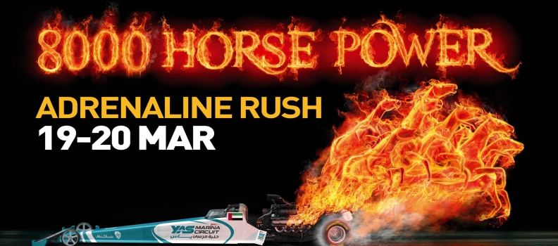 002 Fire Horses