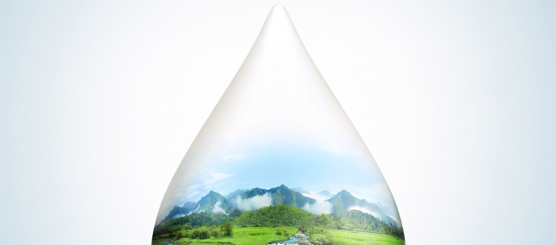 010 MilkDrop_LaunchAd_RiceField_2110