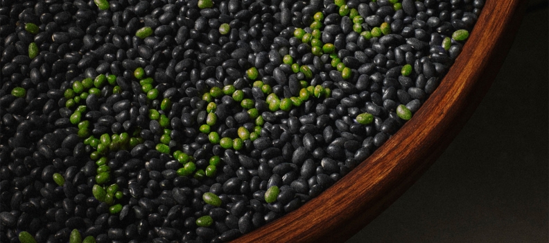013 BanyanTree_Beans
