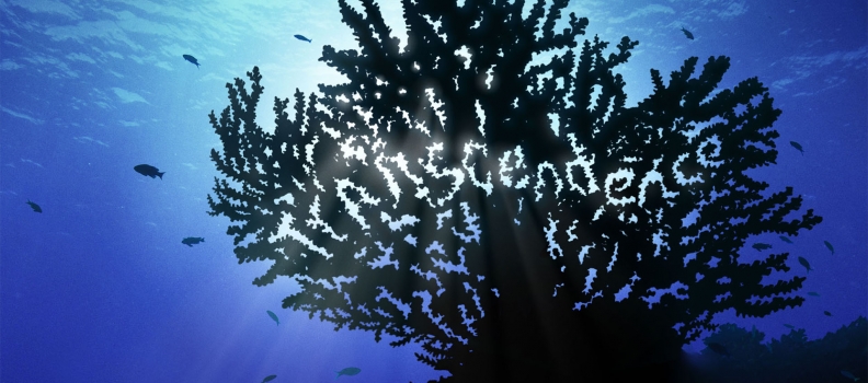 016 BanyanTree_Underwater