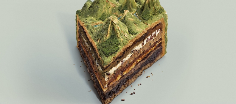016f NissanXterra_ForestCake