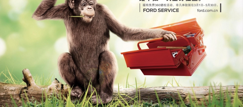 FORD spring