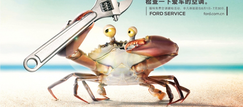 044 FORD_summer