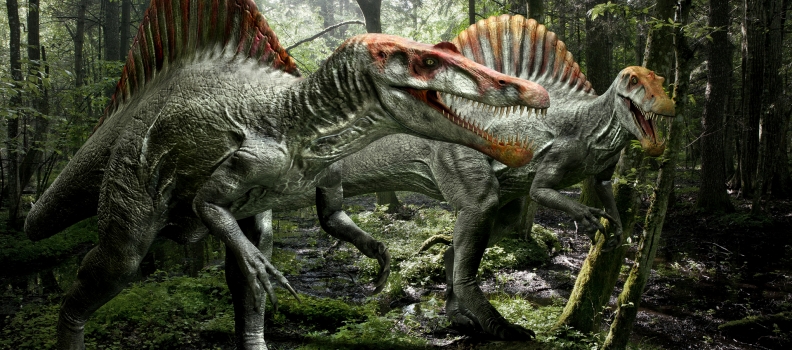 049-Dino