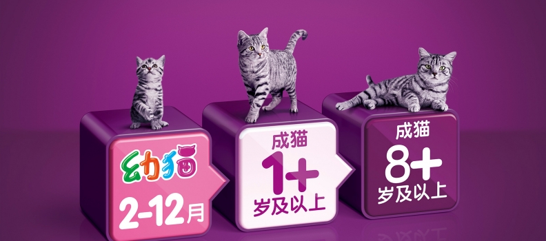 050 KV_whiskas p6-3cats_D7_050315