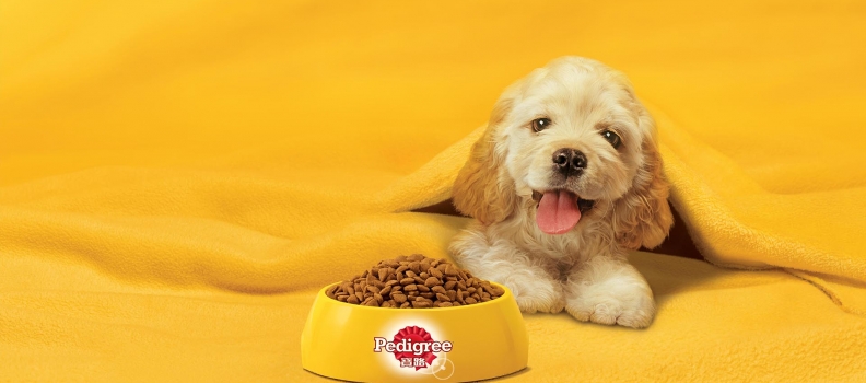 052 Pedigree_2015_KV2_Hort-060115