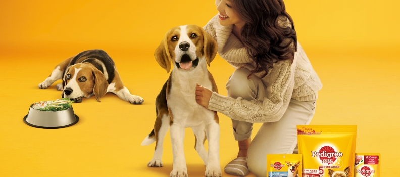 053 Pedigree_Layout_2_FN_150512