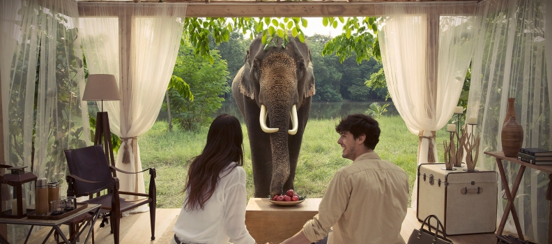 087 VISA_Thailand Elephant 280 210515