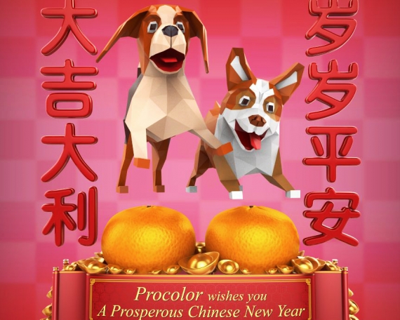 CNY2018VR